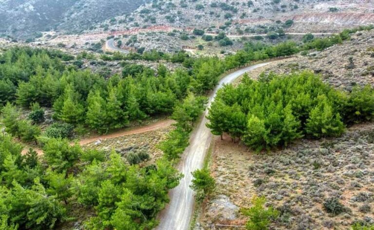bird´s eye view of the Keris forest