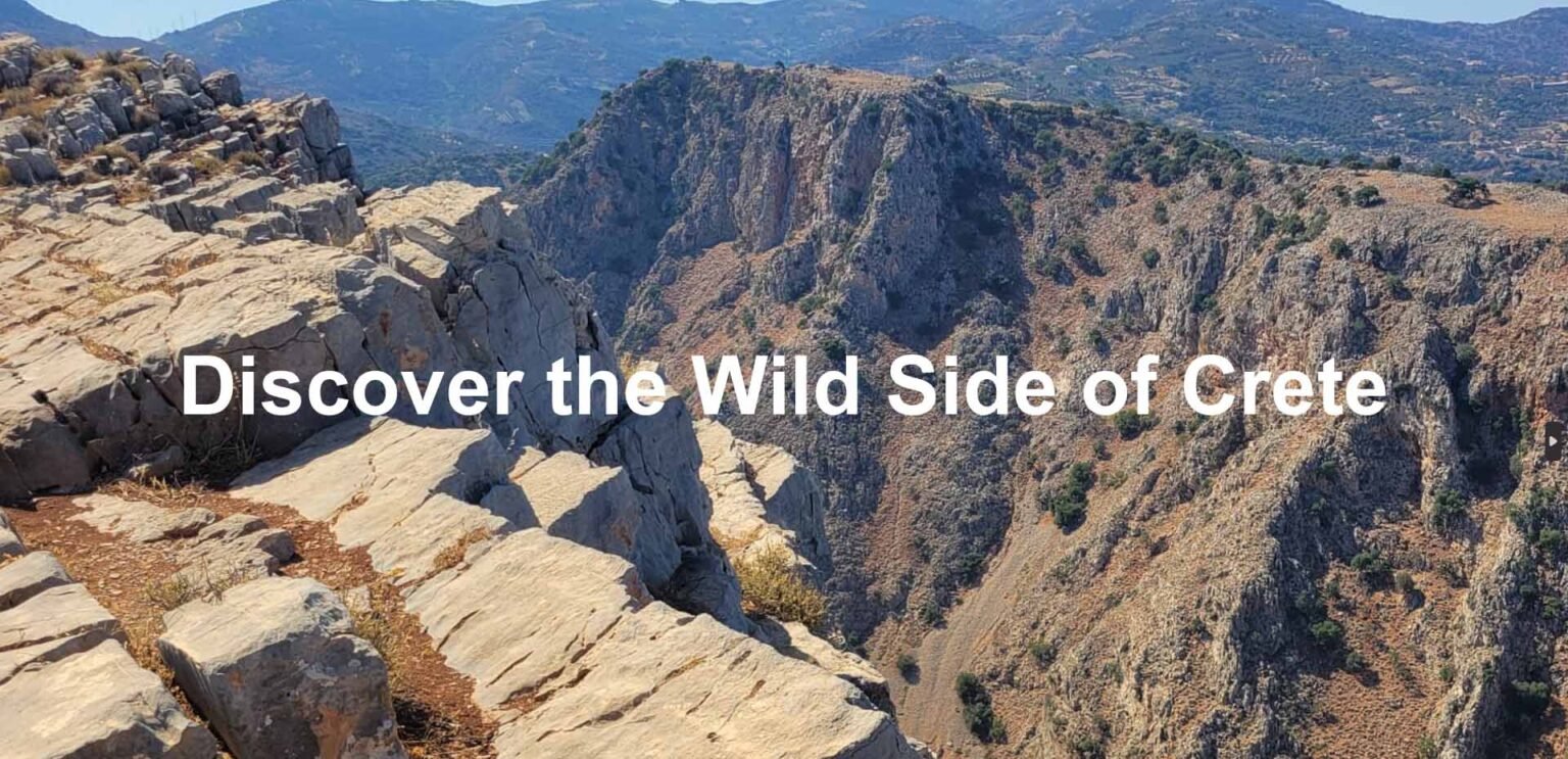 Quad Safari Crete Header