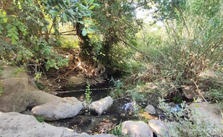 boggy terrain in the Almyra gorge