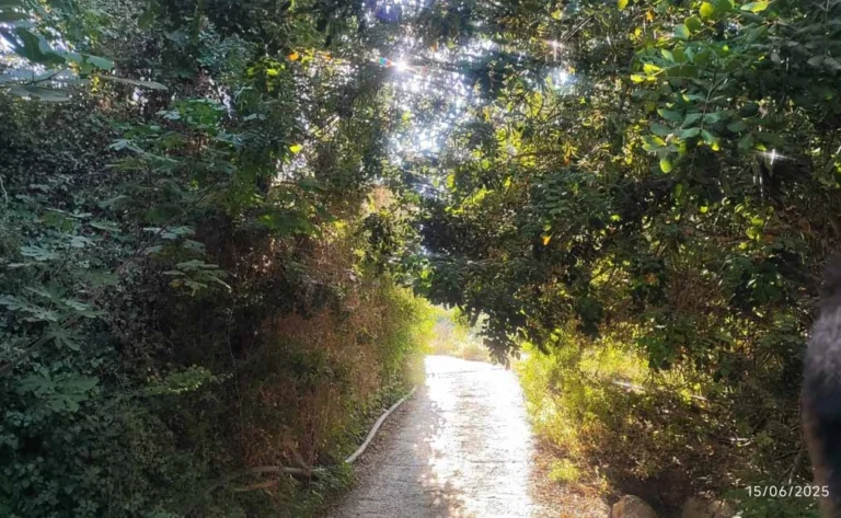 off-road track in the Almyra gorge