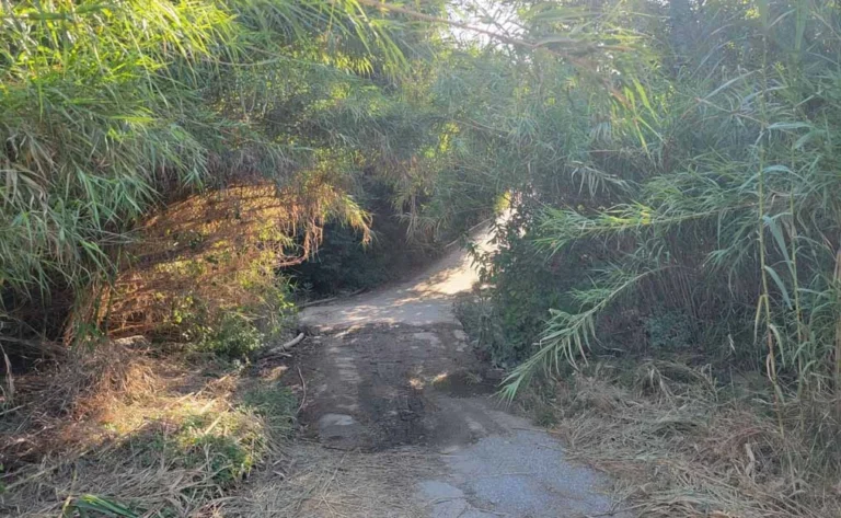off-road track in the Almyra gorge